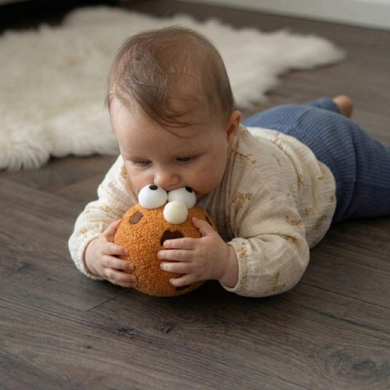 Mireya Cookie Buddy Plush Toy – Kids Plush Toy