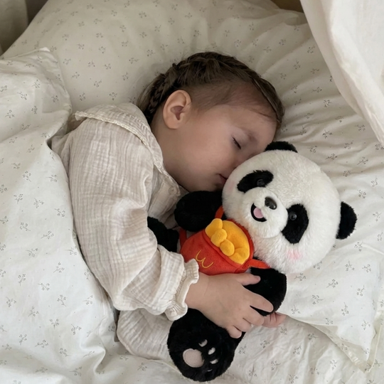 Elora Fries Panda Plush Toy — Soft Toy