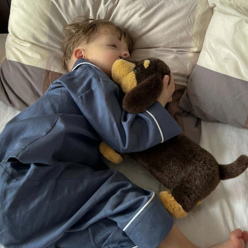 Eliska  Dachshund Doll Plush Toy — Kids Toy