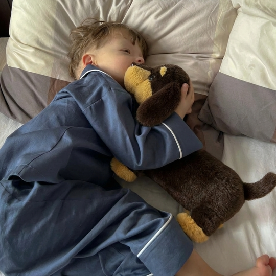 Eliska  Dachshund Doll Plush Toy — Kids Toy