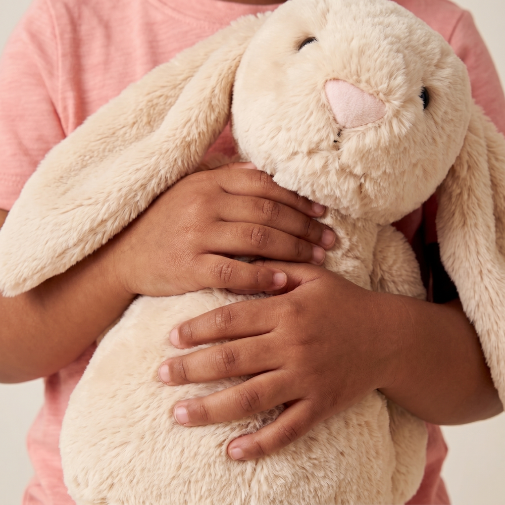HugBuddy – Bunny Plush Toy