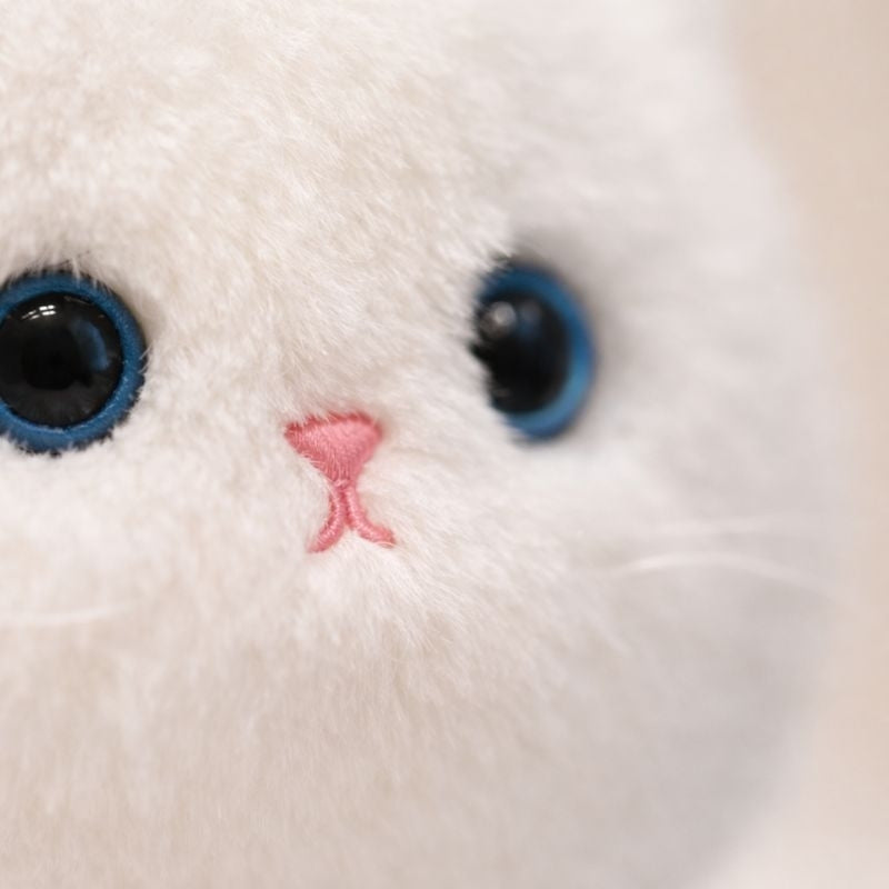 Luca Furry Cat Plush Toy – Soft Stuffed Toy for Kids & Toddlers